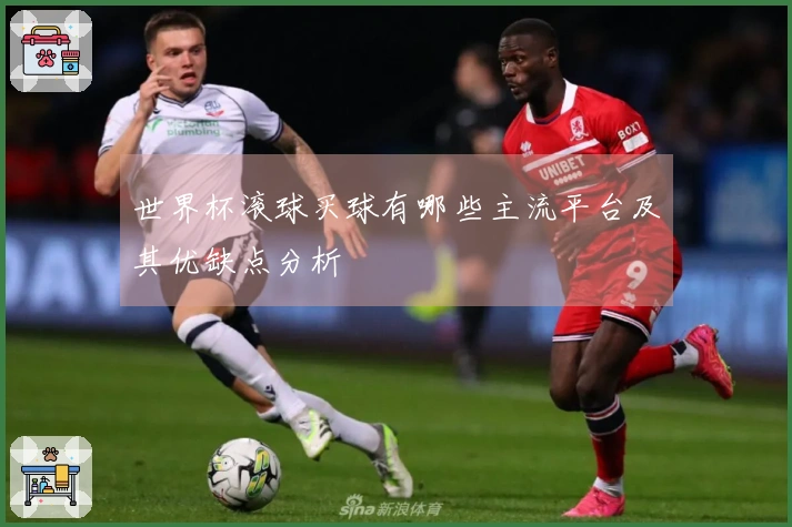世界杯滚球买球有哪些主流平台及其优缺点分析