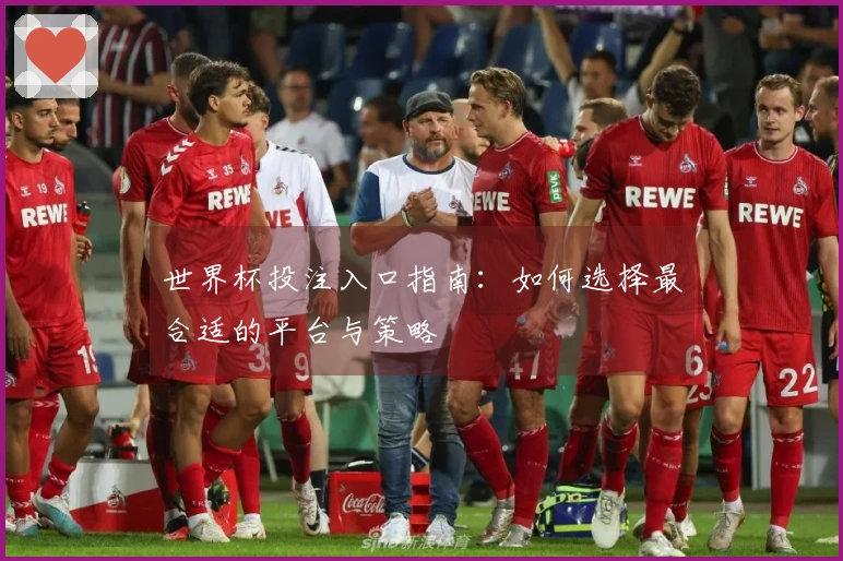 世界杯投注入口指南：如何选择最合适的平台与策略