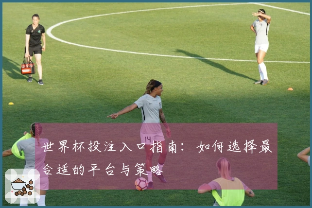 世界杯投注入口指南：如何选择最合适的平台与策略