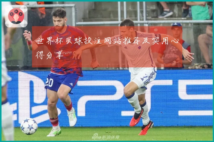 世界杯买球投注网站推荐及实用心得分享
