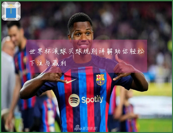 世界杯滚球买球规则详解助你轻松下注与赢利
