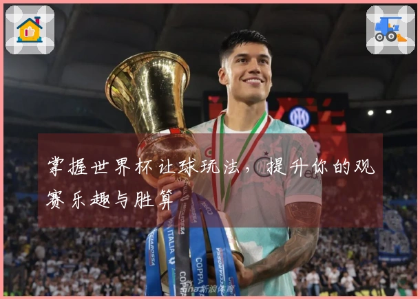 掌握世界杯让球玩法，提升你的观赛乐趣与胜算